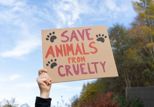 Stop animal cruelty